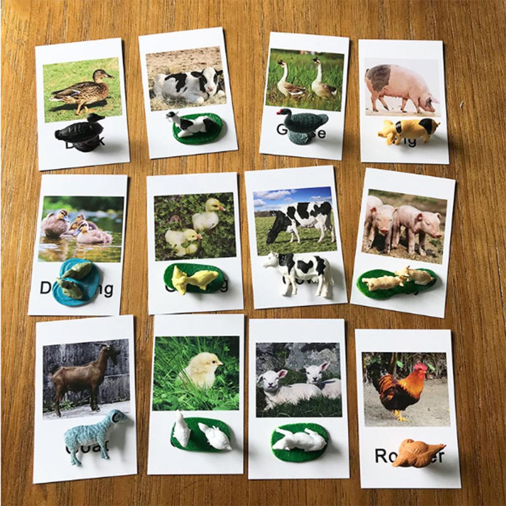 Kids Toys In Store - Animal Model Card Set Montessori Toy