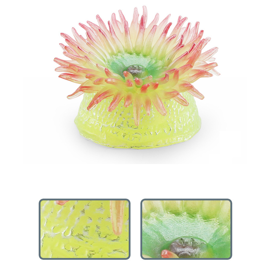 Realistic Coral Sea Anemones S - Kids Toys Under 1 Year ulasan dan harga