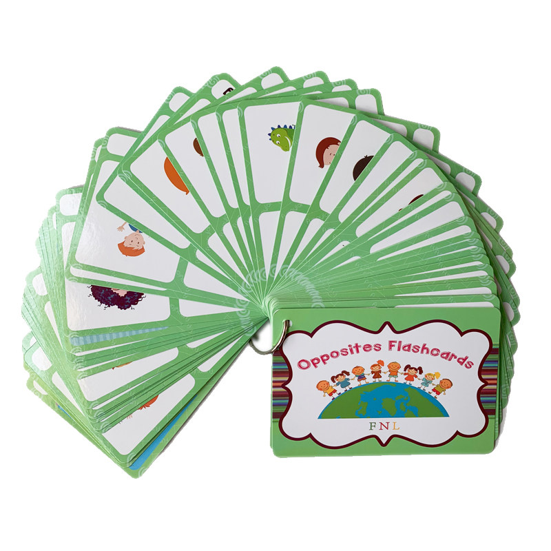 The 100 Groups Opposites Flash - Kids Toys And Games ulasan dan harga