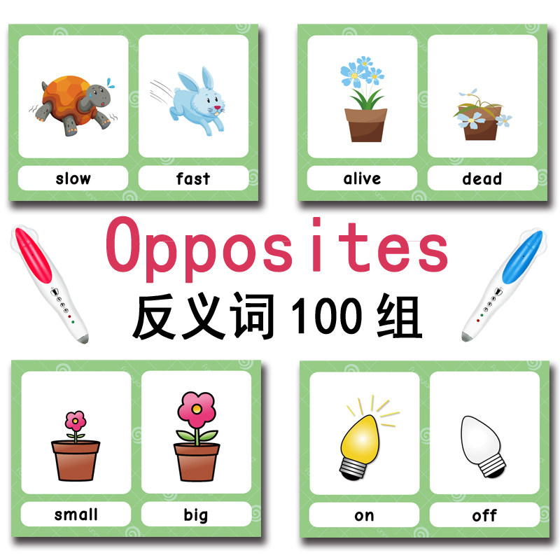 The 100 Groups Opposites Flash - Kids Toys And Games ulasan dan harga