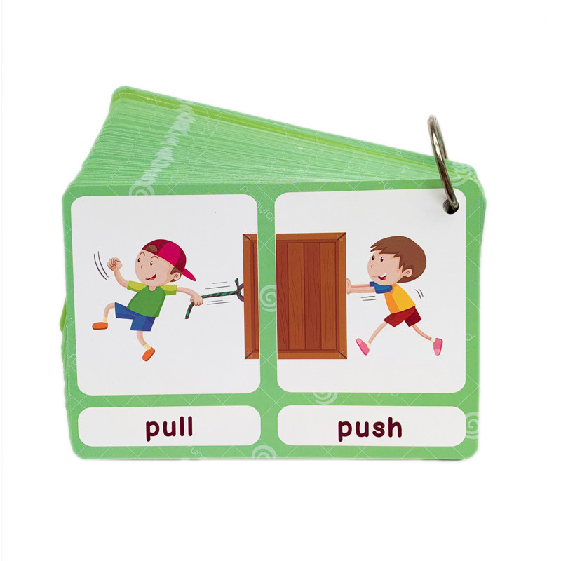 The 100 Groups Opposites Flash - Kids Toys And Games ulasan dan harga