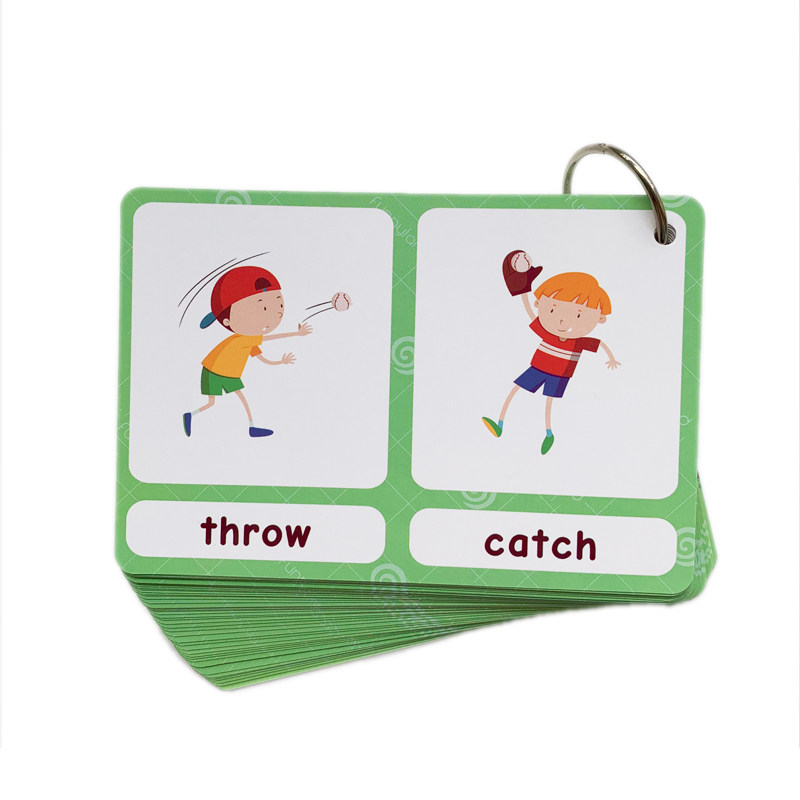 The 100 Groups Opposites Flash - Kids Toys And Games ulasan dan harga