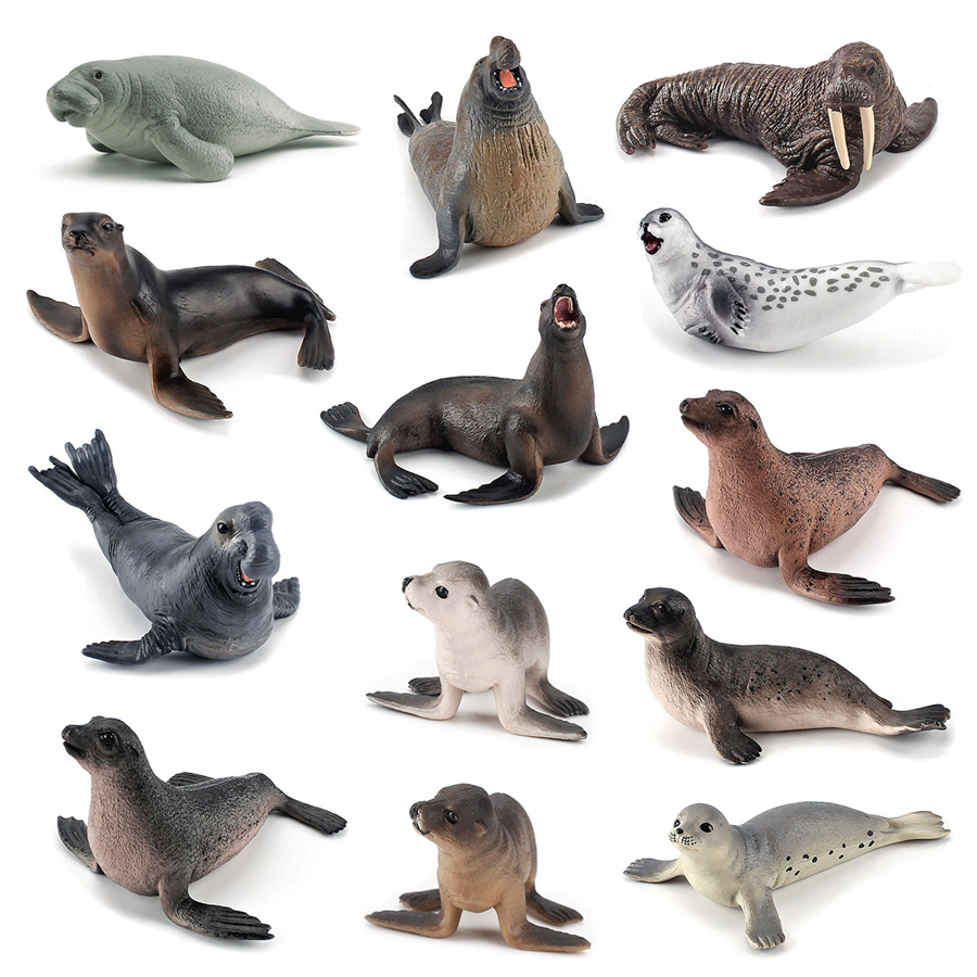Realistic Dugong Manatee Walru - Kids Toys Under 1 Year ulasan dan harga