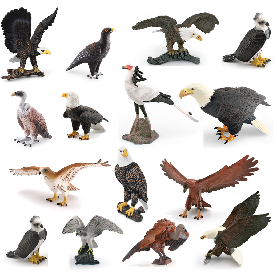 Realistic Wildlife Animal Bird - Kids Toys Under 1 Year ulasan dan harga