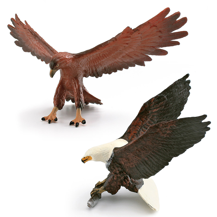 Realistic Wildlife Animal Bird - Kids Toys Under 1 Year ulasan dan harga