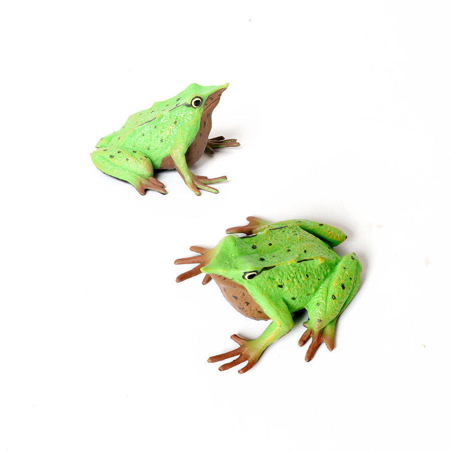 Rainforest Animals Frogs Figur - Kids Toys Under 1 Year ulasan dan harga