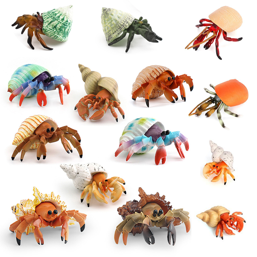Realistic Hermit Crab Figurine - Kids Toys Under 1 Year ulasan dan harga