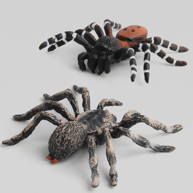 Realistic Insect Animal Model  - Kids Toys 10 Year Old ulasan dan harga
