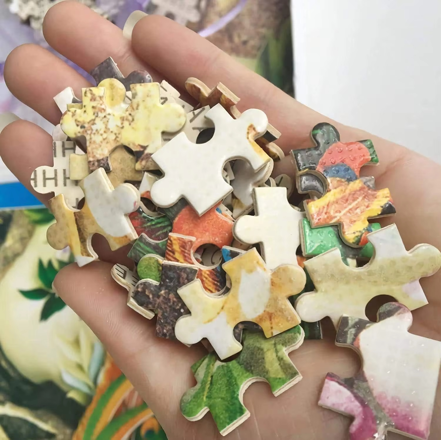 1000 PCS Victoria Frances Vamp - Kids Toys Victoria ulasan dan harga