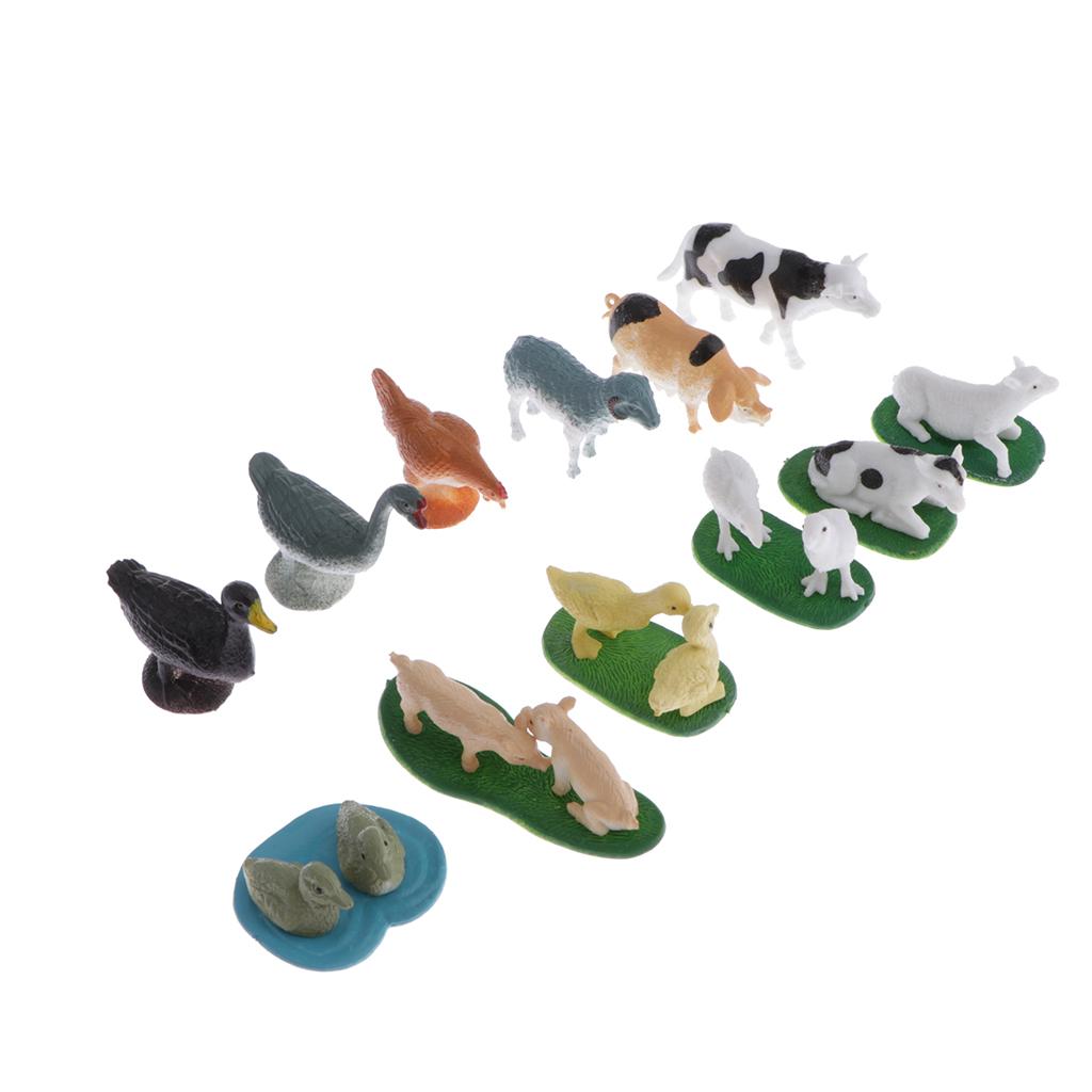 Animal Model Card Set Montesso - Kids Toys In Store ulasan dan harga