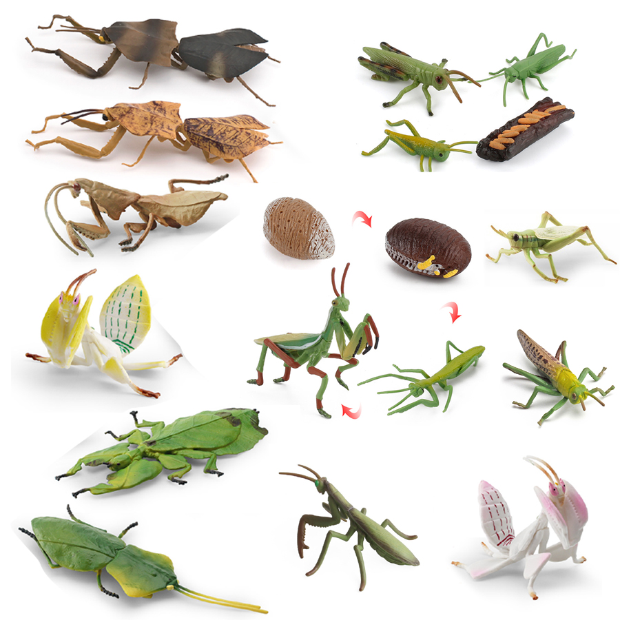 Realistic Orchid Mantis Dead L - Kids Toys Under 1 Year ulasan dan harga