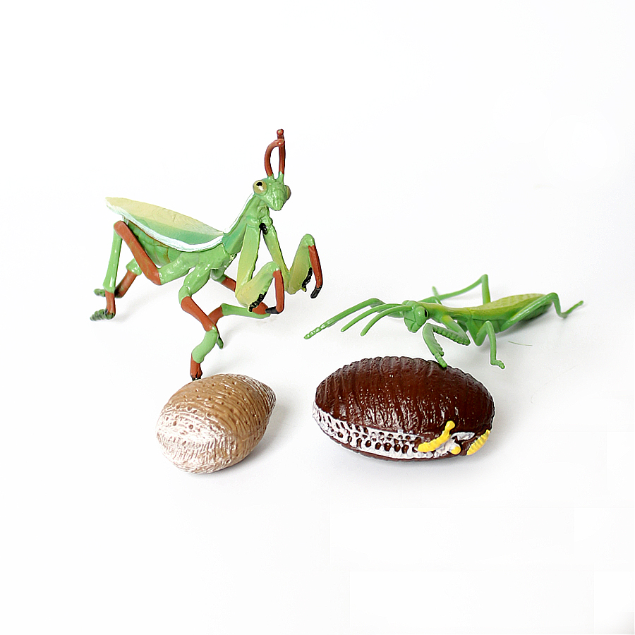 Realistic Orchid Mantis Dead L - Kids Toys Under 1 Year ulasan dan harga